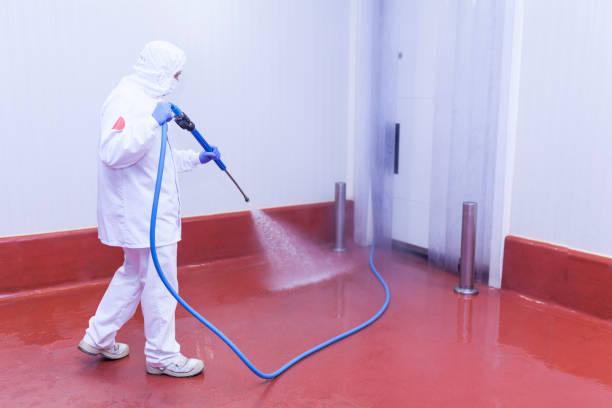 Best Pool Deck Cleaning  in Houston, AK