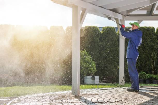 Best Animal Enclosure Cleaning  in Houston, AK